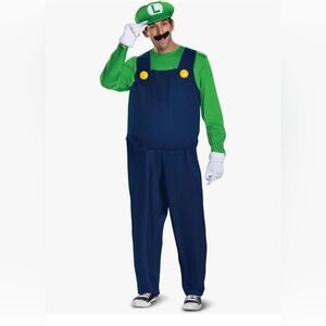 Luigi Adult Costume